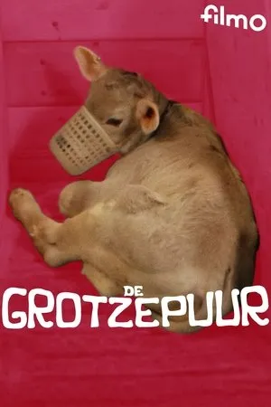 Постер к фильму De Grotzepuur (1975)