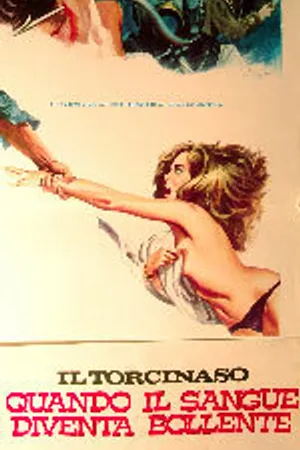 Постер к фильму Кляп — когда закипает кровь (1975)