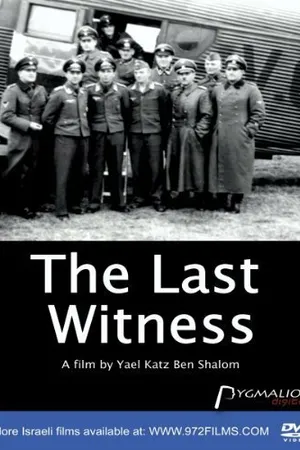Постер к фильму The Last Witness (1925)