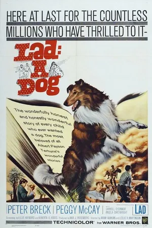 Постер к фильму Lad: A Dog (1962)