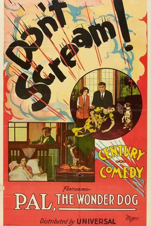 Постер к фильму Don't Scream (1923)