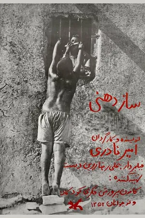 Постер к фильму Гармоника (1974)