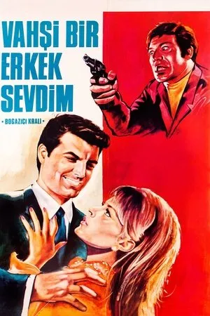 Постер к фильму Vahsi bir erkek sevdim (1968)
