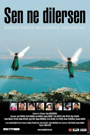 Постер к фильму Что вы хотите? (2005)