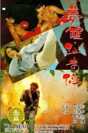 Постер к фильму Грезить наяву (1991)