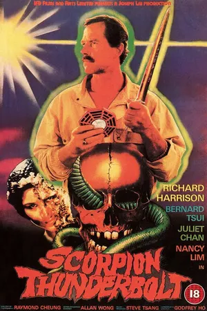 Постер к фильму Удар молнии ниндзя (1984)