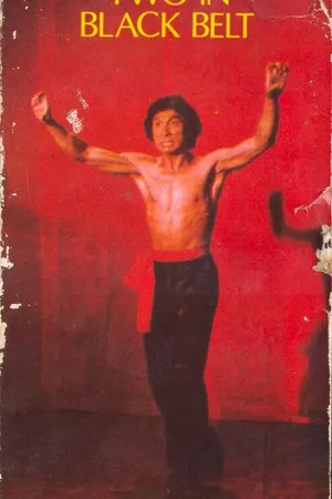 Постер к фильму Двое в черном поясе (1978)