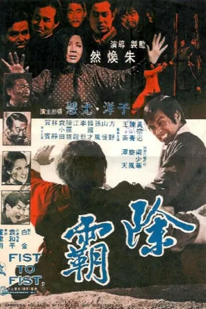 Постер к фильму Кулак к кулаку (1973)