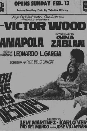 Постер к фильму You Are My Destiny (1973)