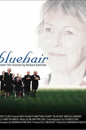 Постер к фильму Bluehair (2001)