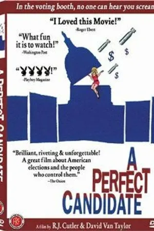 Постер к фильму A Perfect Candidate (1996)