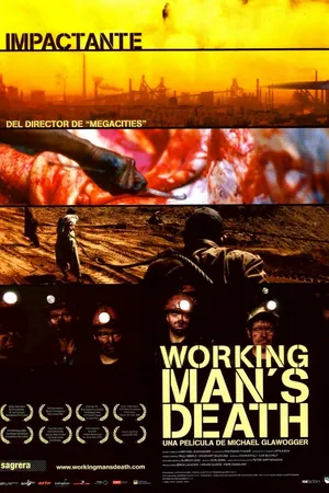 Постер к фильму Смерть рабочего (2005)