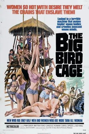 Постер к фильму Большая клетка для птиц (1972)