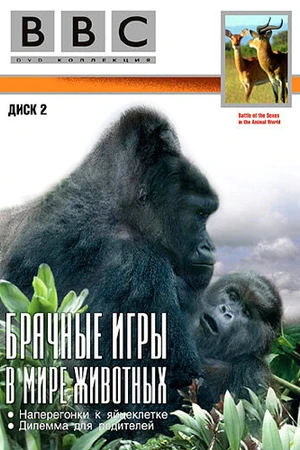 Постер к сериалу BBC: Брачные игры в мире животных (1999)
