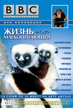 Постер к сериалу BBC: Жизнь млекопитающих (2002)