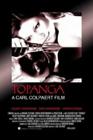 Постер к фильму The Affair (2004)