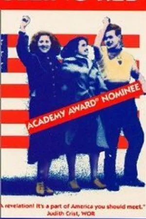 Постер к фильму Видимость красного (1983)