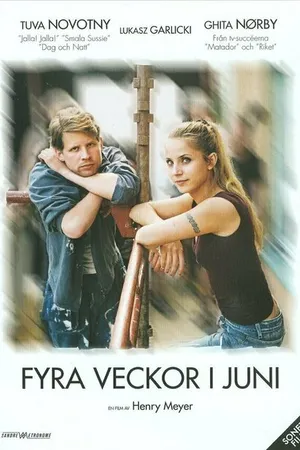Постер к фильму Четыре недели в июне (2005)