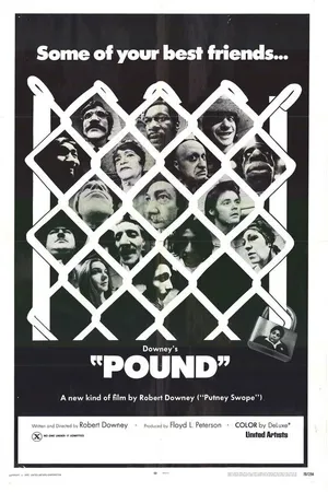 Постер к фильму Загон (1970)