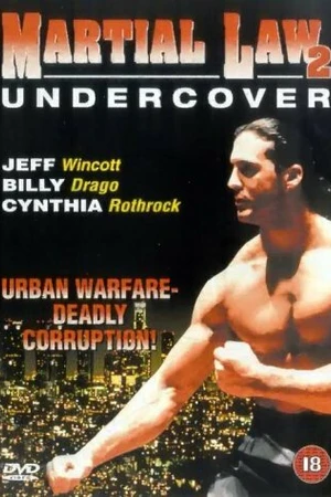 Постер к фильму Комендантский час 2 (1991)