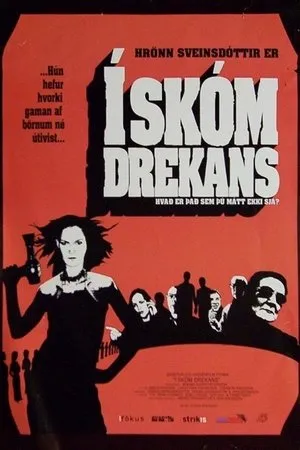 Постер к фильму Í skóm drekans (2002)