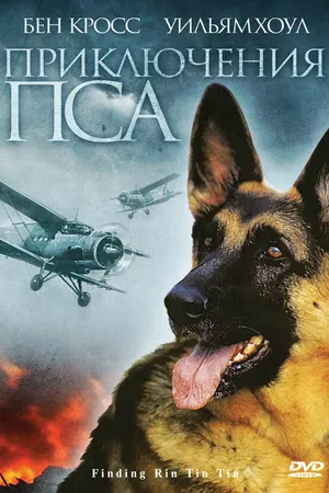 Постер к фильму Приключения пса (2007)