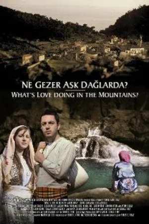 Постер к фильму What's Love Doing in the Mountains? (2005)