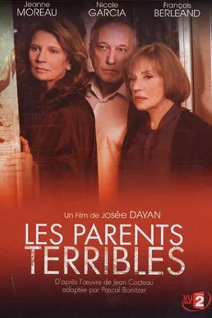 Постер к фильму Трудные родители (2003)