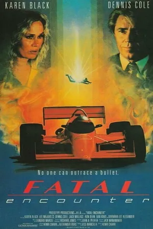 Постер к фильму Fatal Encounter (1990)