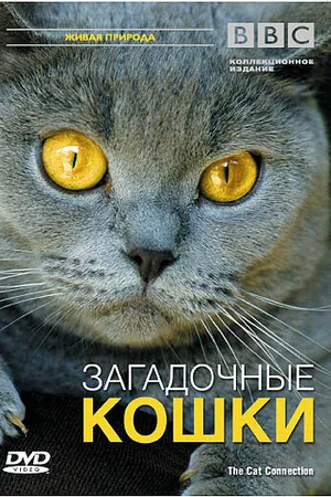 Постер к фильму BBC: Загадочные кошки (2002)