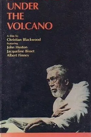 Постер к фильму Наблюдения у подножия вулкана (1984)