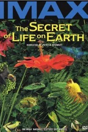 Постер к фильму The Secret of Life on Earth (1993)