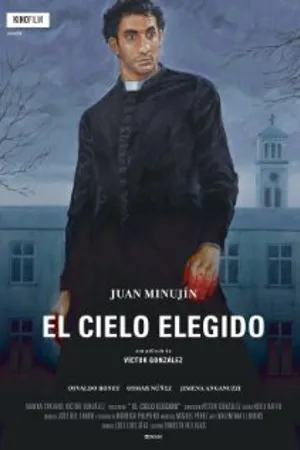 Постер к фильму Выбор небес (2010)