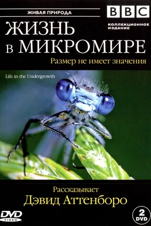 Постер к сериалу BBC: Жизнь в микромире (2005)