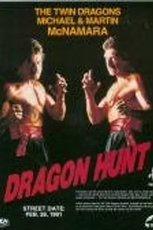 Постер к фильму Охота на дракона (1990)