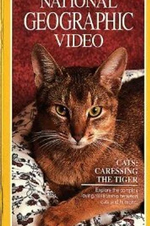 Постер к фильму Кошки: Ласковые тигры (1991)