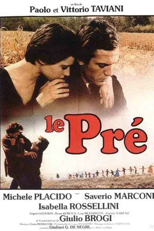 Постер к фильму Поляна (1979)