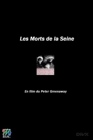 Постер к фильму Смерть на Сене (1989)