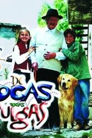 Постер к сериалу Немного блошек (2003)