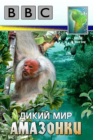 Постер к фильму BBC: Дикий мир Амазонки (1989)