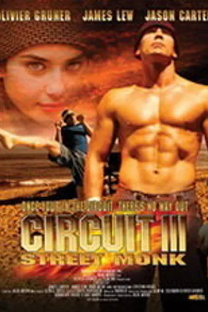 Постер к фильму Вихрь 3 (2006)