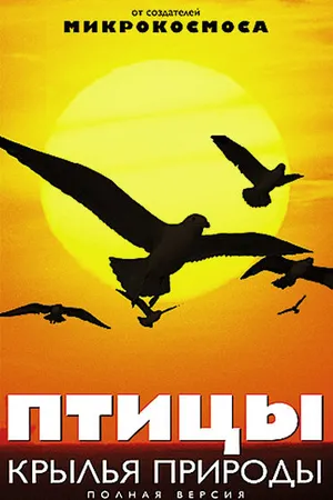 Постер к сериалу Птицы: Крылья природы (2002)