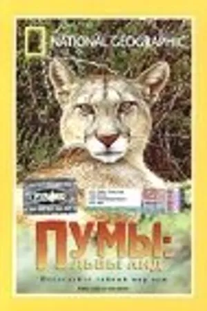 Постер к фильму Пумы: Львы Анд (1996)