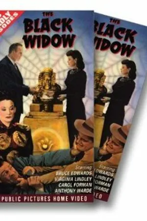 Постер к фильму Черная вдова (1947)