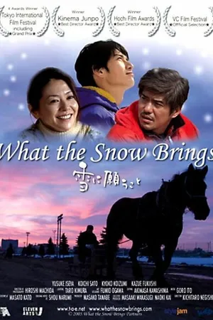 Постер к фильму Что приносит снег (2005)