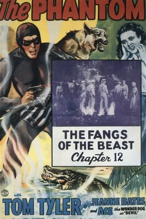 Постер к фильму Фантом (1943)