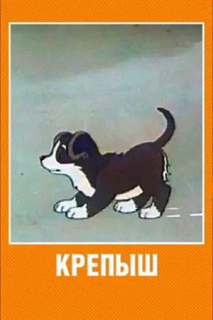 Постер к мультфильму Крепыш (1950)