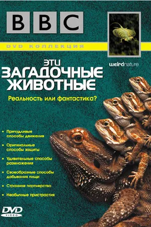 Постер к сериалу BBC: Эти загадочные животные (2002)