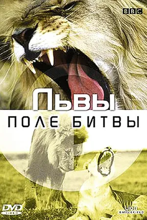 Постер к фильму BBC: Львы. Поле битвы (2002)