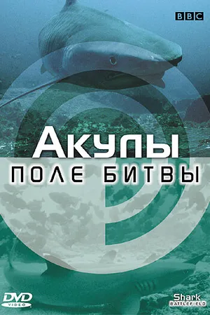 Постер к фильму BBC: Акулы. Поле битвы (2002)